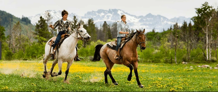 Confident plus-size woman riding Dorchester a horse through a field with a smile on her face.